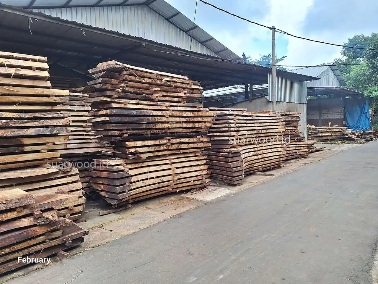 suar wood indonesia jepara manufacture